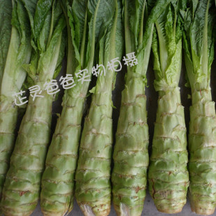  湖北农家自种 新鲜莴苣 青皮绿莴笋 有机蔬菜 邮费不限重
