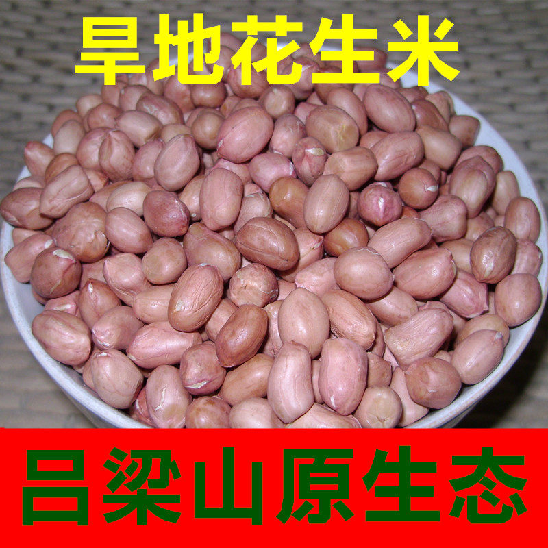 农家花生米 生花生米 吕梁山旱地花生米 低产花生 绝非水浇地
