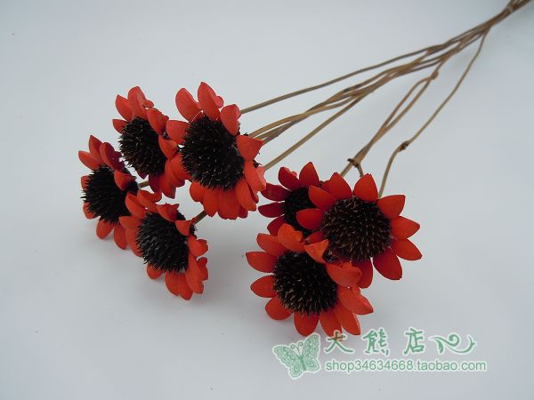 雲南幹花 太陽花紅色 仿真花假花裝飾花餐桌花藝 擺設家居 大熊店在類目 家居飾品, 花瓶/花器/仿真花/仿真飾品, 乾花/花瓣/乾花包/幹樹枝中 - 來自Buy2taobao.com提供專業的淘寶代購服務