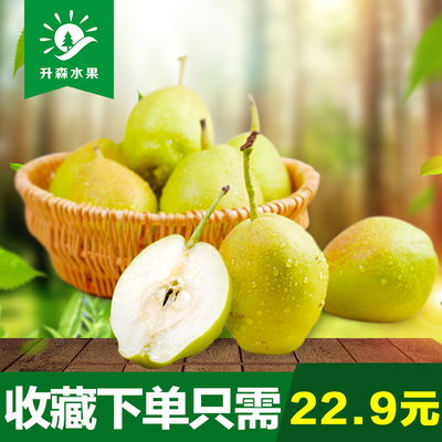 升森水果 新疆库尔勒香梨现摘特产梨子新鲜水果整箱批发包邮