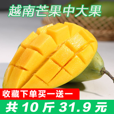 青皮芒果越南进口新鲜水果 玉芒青芒热带水果包邮带箱共发10斤