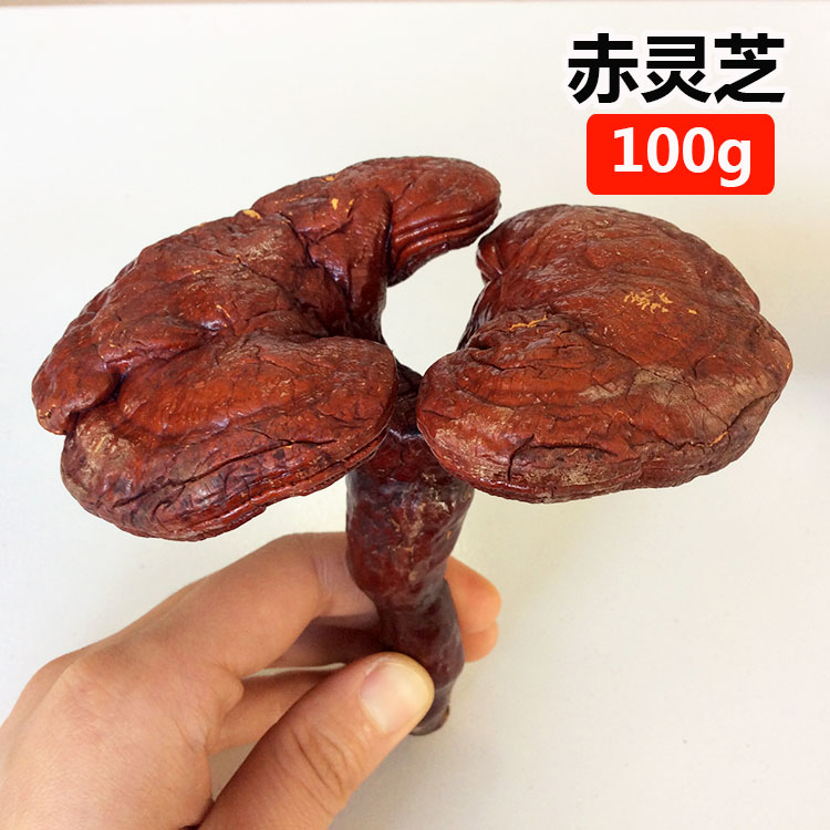 Wild Lingzhi Mountains Ganoderma 100g Flood damage Soup Paojiu materialin the Traditional nourishing food , Ganoderma , Pruning Ganoderma category - from Buy2taobao.com to provide professional Taobao agent buy service