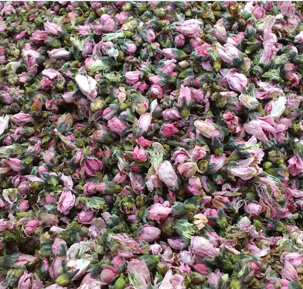 Hill peach Peach Tea Edible agricultural products 500 gramin the Tea , Replacement/Flowers/Fruit/Tea reprocessing , Replacement/Herbal Tea category - from Buy2taobao.com to provide professional Taobao agent buy service