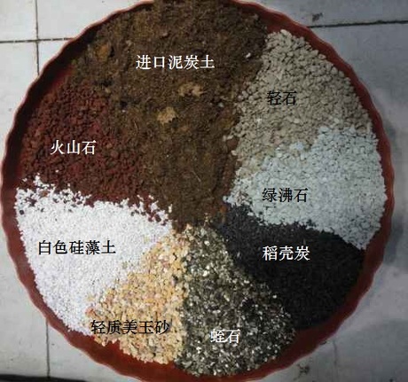 森美汇八合一多肉土 多肉植物专用土 多肉颗粒
