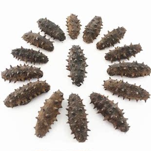  极限促销海参淡干 海参干货批发 长岛野生刺参  50g 包邮