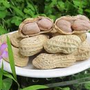 龙岩花生 福建龙岩蒜香花生500g 正宗蒜香味闽西特产 10份包邮 龙岩花生 福建龙岩蒜香花生500g 正宗蒜香味闽西特产 10份包邮