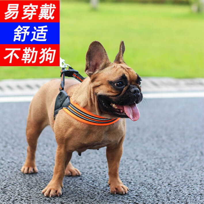 狗狗宠物胸背带反光防爆冲凯利宠物用品宠物牵引绳背带|ruв категории животное/Животное питание и принадлежностей, кошка/собака товаров, бытовой натяжного ремня - от Buy2taobao.com для оказания профессиональной услуги покупки агента Taobao