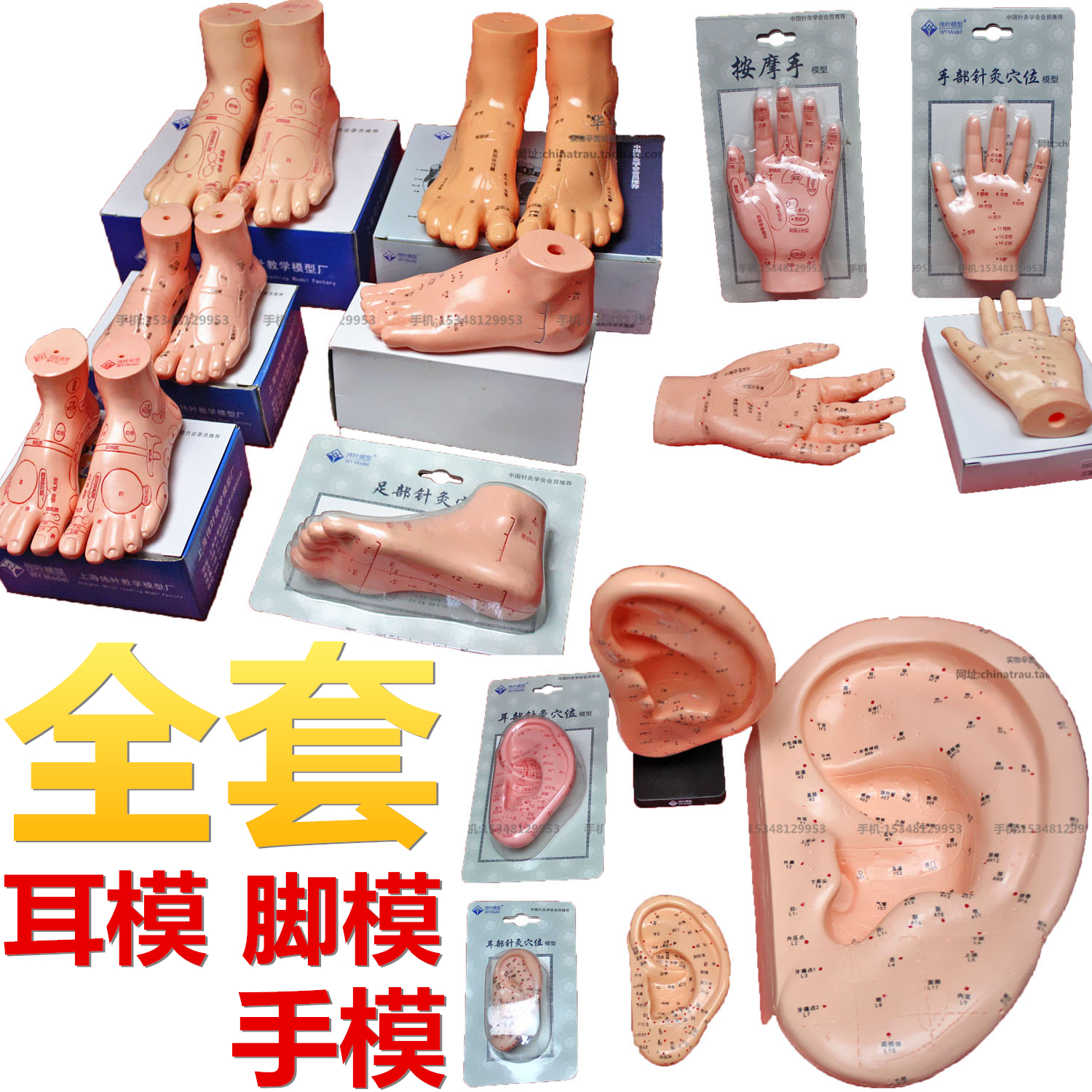 伟叶高清耳模软脚模硬手模儿童手足部按摩成人针灸模型穴位说明书|ruв категории игрушка/коляска/головоломка/блоки/модель, статическая модель, другие модели игрушки - от Buy2taobao.com для оказания профессиональной услуги покупки агента Taobao