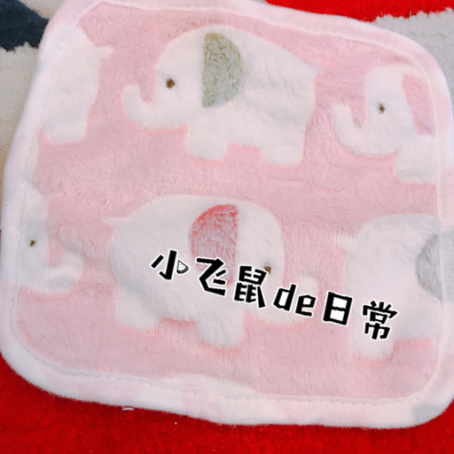 保暖! 飞鼠松鼠小被子 小蜜绒毯毛毯 垫料冬季保暖外出可用在类目 居家布艺, 靠垫/抱枕中 - 来自Buy2taobao.com提供专业的淘宝代购服务