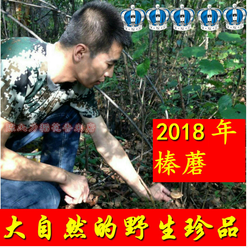 2018新上山采摘 野生榛蘑 晒干蘑菇东 小鸡炖蘑菇 150克|msdalam kategori beras/Utara-Selatan barangan kering/perasa, Utara-Selatan barangan kering/daging Kering, kering/Native, kelas cendawan - dari Buy2taobao.com untuk memberikan perkhidmatan ejen Taobao profesional membeli
