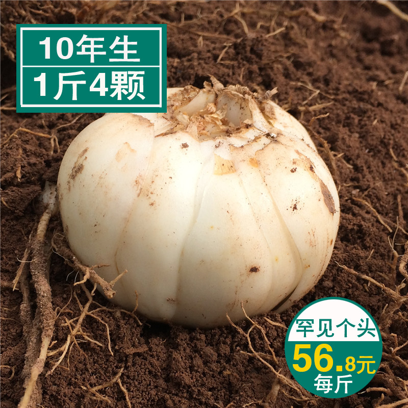 产量稀少 大个1斤3到4个兰州新鲜百合农家食用无硫甜兰州百合500g在类目 粮油米面/南北干货/调味品, 南北干货/肉类干货, 干货/土特产, 百合干中 - 来自Buy2taobao.com提供专业的淘宝代购服务