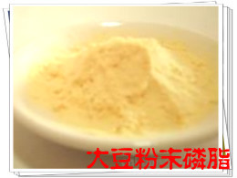  特价正品烘焙原料/辅料食品添加剂大豆粉末磷脂营养增补1KG卵磷脂