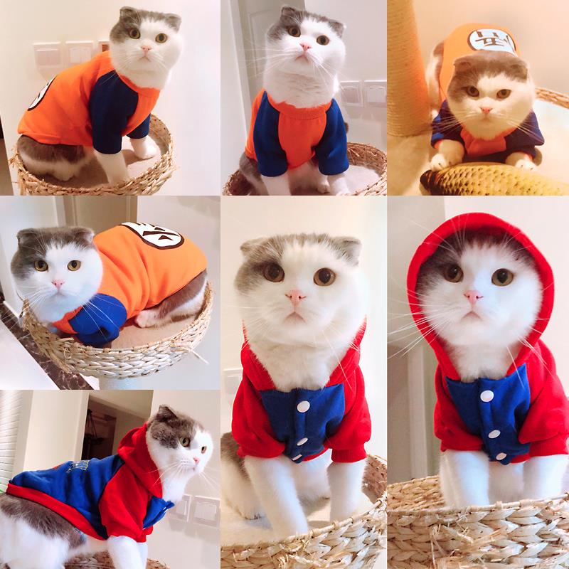 貓咪衣服貓咪穿的衣服室內防掉毛寵物貓可愛公主小貓貓秋裝和服在類目 寵物/寵物食品及用品, 寵物服飾及配件, 寵物服裝/雨衣中 - 來自Buy2taobao.com提供專業的淘寶代購服務