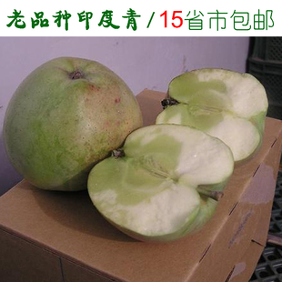  母亲节礼物礼品老品种印度青烟台苹果栖霞印冬东甜冰糖心新鲜水果