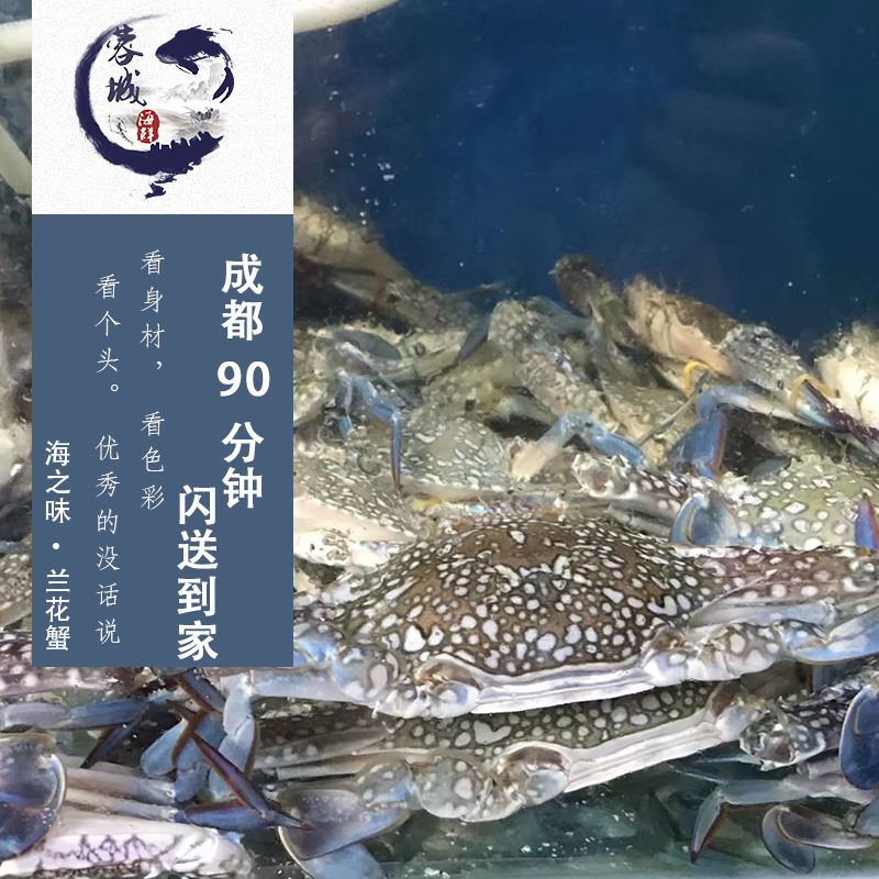 Chengdu Seafood Delivery Fresh Lanhuaxie Crab Male crab Crab About three in a cattyin the Aquatic meat/Fresh fruits and vegetables/Cooked , Seafood/Aquatic/Product , Crabs , Crabs products category - from Buy2taobao.com to provide professional Taobao agent buy service