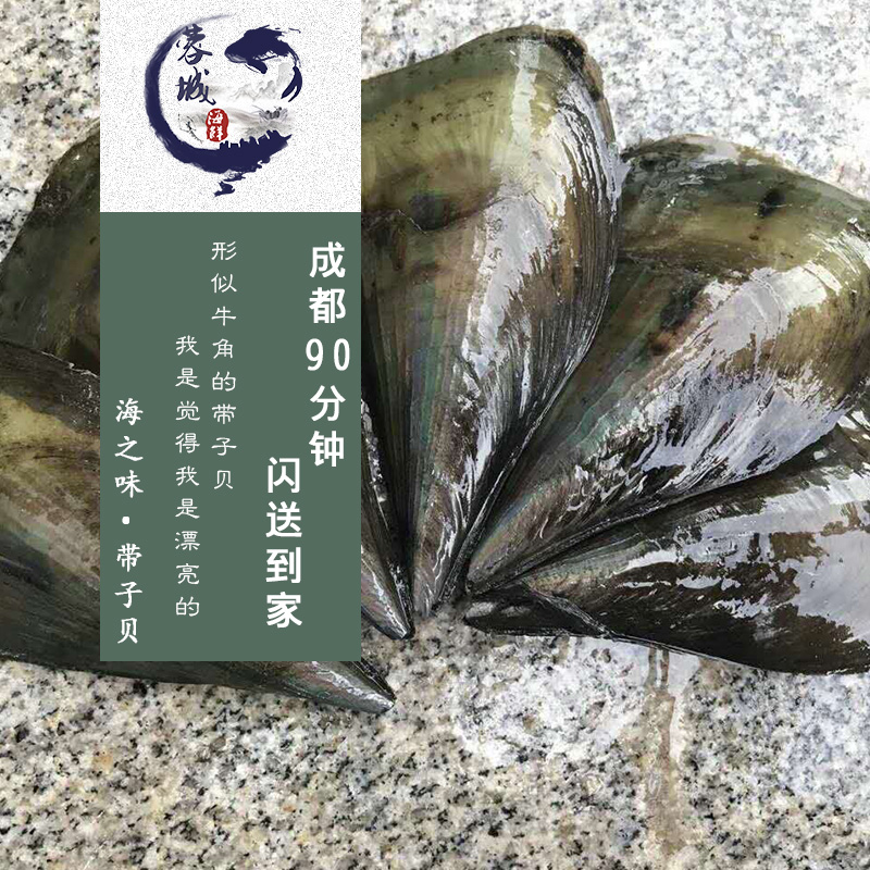 成都海鲜急送 鲜活 带子 鲜贝 14元一个 鲜活配送到家在类目 水产肉类/新鲜蔬果/熟食, 海鲜/水产品/制品, 贝类, 贝类制品中 - 来自Buy2taobao.com提供专业的淘宝代购服务