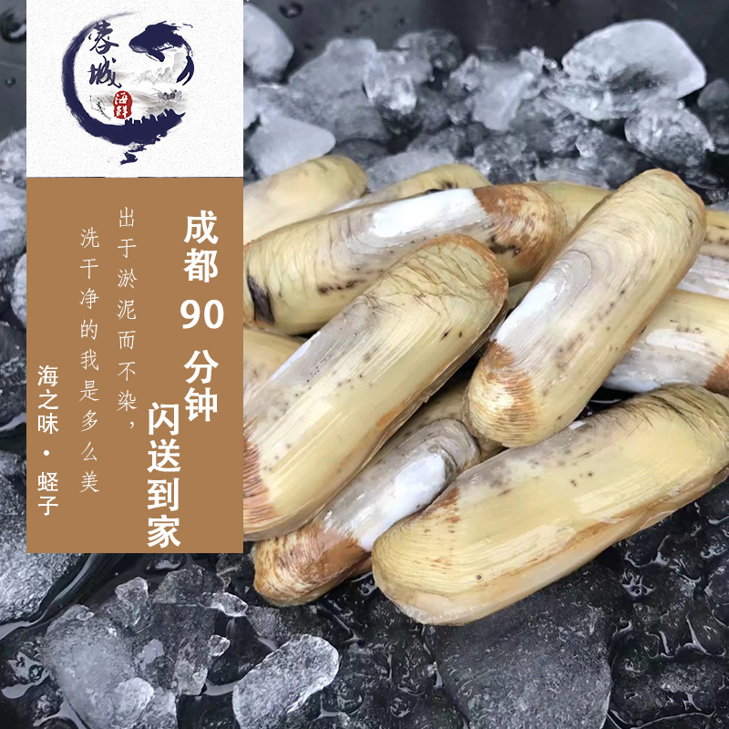 成都海鲜急送 鲜活 蛏子 圣子 川内生鲜鲜活到家在类目 水产肉类/新鲜蔬果/熟食, 海鲜/水产品/制品, 贝类, 贝类制品中 - 来自Buy2taobao.com提供专业的淘宝代购服务