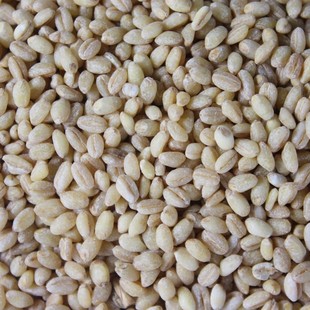  小麦米 小麦仁 北大荒特产 非转基因五谷杂粮春小麦500g/5元运费