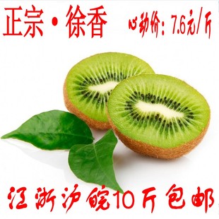  【亏】正宗江山徐香猕猴桃 新鲜水果 味比新西兰奇异果 精选果