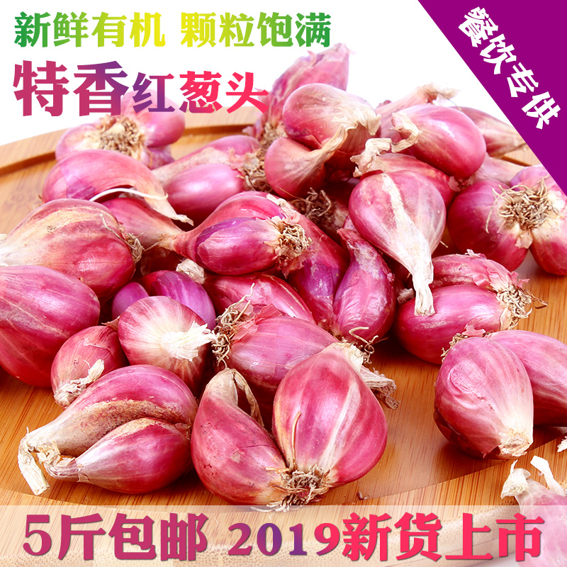 新鲜红葱头干葱头广东红皮火葱小香葱种餐饮食用熬油做卤肉饭葱酥在类目 水产肉类/新鲜蔬果/熟食, 新鲜蔬菜/蔬菜制品, 新鲜蔬菜, 其它中 - 来自Buy2taobao.com提供专业的淘宝代购服务