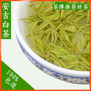  安吉白茶新茶 特级茶叶 珍惜白茶 安吉白茶新茶明前特级