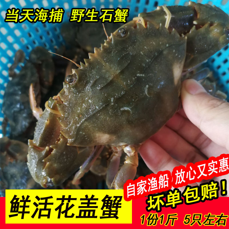 野生花盖蟹鲜活石蟹活体海螃蟹花蟹石闸蟹梭子蟹海鲜水产500g在类目 水产肉类/新鲜蔬果/熟食, 海鲜/水产品/制品, 蟹类, 蟹类制品中 - 来自Buy2taobao.com提供专业的淘宝代购服务