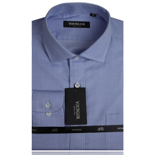  YOUNGOR雅戈尔衬衫男正品款DP全棉免烫长袖衬衫 DP16215-32
