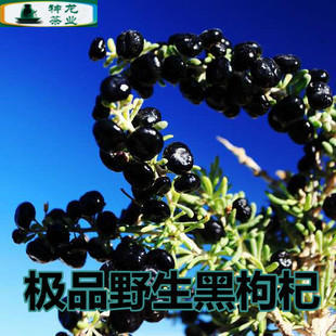 新疆正品野生黑枸杞青海柴达木特级黑果抗癌抗衰老花青素之王包邮