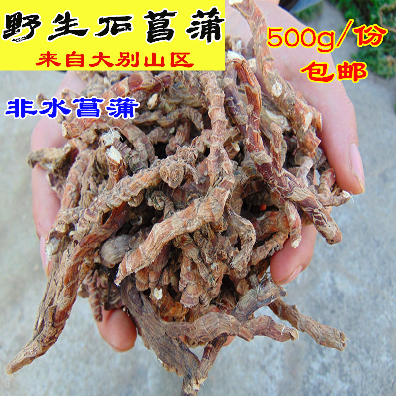新貨野生石菖蒲 中藥材石昌蔔優質菖蒲500克包郵在類目 傳統滋補營養品, 藥食同源食品, 其他藥食同源食品中 - 來自Buy2taobao.com提供專業的淘寶代購服務