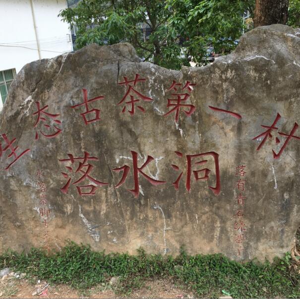 2018高端普洱茶头波春 易武落水洞古树生茶 一提五饼纯料 一口料|msdalam kategori teh, Pu'er - dari Buy2taobao.com untuk memberikan perkhidmatan ejen Taobao profesional membeli