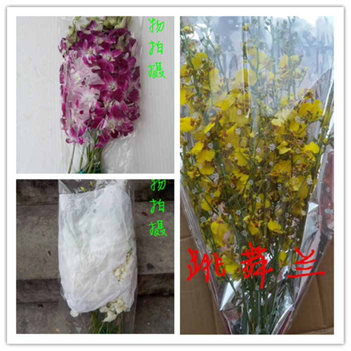 家庭花店用花洋蘭跳舞蘭鮮花上海江蘇浙江安徽兩紮起順豐包郵在類目 鮮花速遞/花卉仿真/綠植園藝, 鮮花速遞(同城)中 - 來自Buy2taobao.com提供專業的淘寶代購服務