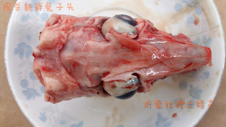 批发新鲜兔子头 冷鲜兔子头 生鲜兔头 可红烧兔子头兔肉酒店专供-淘宝网