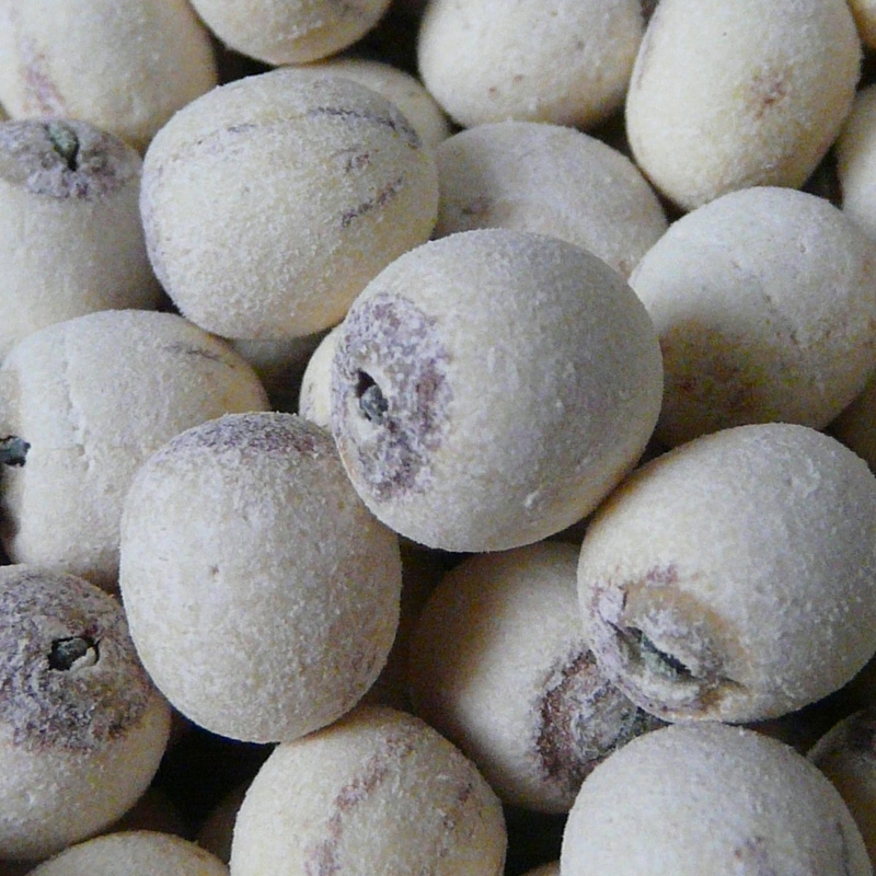 Honghu Bailian 1 pounds Rub the skin white)Hubei Jingzhou Yang Jing Honghu store that sells special local producein the Agri rice/Dried foods/Condiment , Dried foods/Meat Dry , Dry/Native , Lotus category - from Buy2taobao.com to provide professional Taobao agent buy service