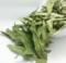 上下架计划:特价花草茶 甜菊叶茶 特级甜叶菊茶 无糖减肥降糖500克包邮