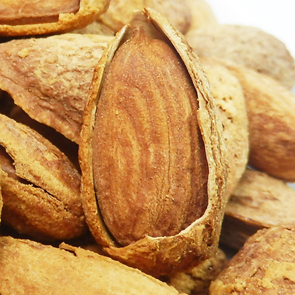  信礼坊 美食小吃坚果特产零食 手剥壳杏仁奶油巴旦木大杏仁200g