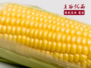 首页-实在烟台人土特产