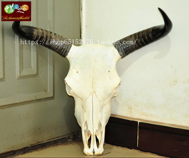 Yak skulls Sheep skull skull decorate Decoration skull Arts and Crafts Holiday Village decorationin the Arts and crafts , Minority handicrafts , Menba category - from Buy2taobao.com to provide professional Taobao agent buy service