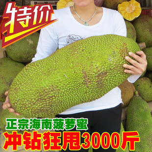  海南三亚 菠萝蜜 水果  新鲜 木菠萝干苞菠萝 包邮 特价5.8元1斤