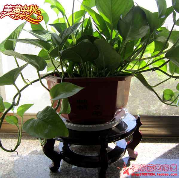 包郵實木花架木質盆景架花盆架室內綠蘿花架子魚缸架小花托水仙架在類目 住宅傢俱, 架類, 花架/花幾中 - 來自Buy2taobao.com提供專業的淘寶代購服務