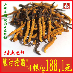  西藏那曲冬虫夏草正品 4根一克同仁堂精选标准新虫草大藏珍宝