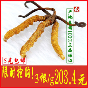  大藏珍宝 青海玉树冬虫夏草正品 一克3根 同仁堂精选级新虫草