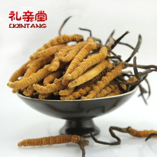  【礼亲堂】特级精选西藏那曲冬虫夏草新虫草4条/克 5克装包邮
