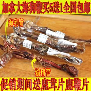  加拿大 海狗肾宝 海狗鞭 特补药酒 带输精管送鹿鞭片鹿茸血片包邮