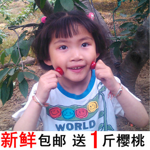  预售/预订/预定 山东烟台 大樱桃 车厘子 团购 新鲜水果 包邮顺丰