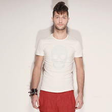 [Figure] 2013 stab male fashion personality skull compassionate men's solid color short-sleeved round neck t-shirt printing