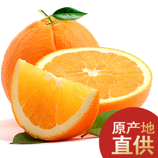  三峡秭归脐橙 新鲜水果纽荷尔橙子送剥橙器 特价包邮 现摘现发
