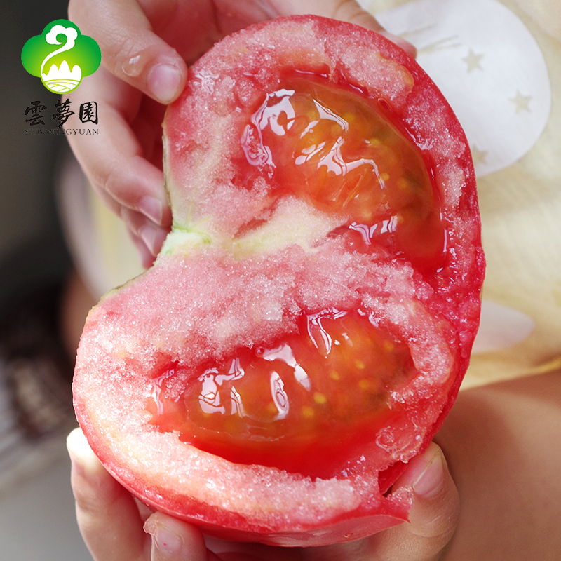 Miyun green fresh Tomatoes Persimmon tomato Farm manure 4in the Aquatic meat/Fresh fruits and vegetables/Cooked , Fresh vegetables/Vegetable products , Fresh vegetables , Other category - from Buy2taobao.com to provide professional Taobao agent buy service