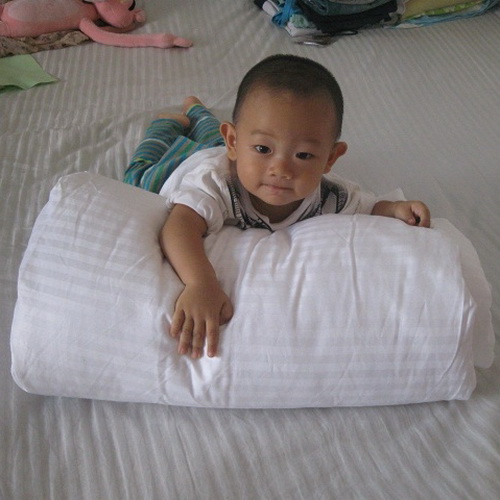 Silk quilt 100% mulberry silk 1.5 + 2.5 manual Customized Single The quilt core Double is PIP is Four Seasons isin the Bedclothes , Quilt, Silk was category - from Buy2taobao.com to provide professional Taobao agent buy service