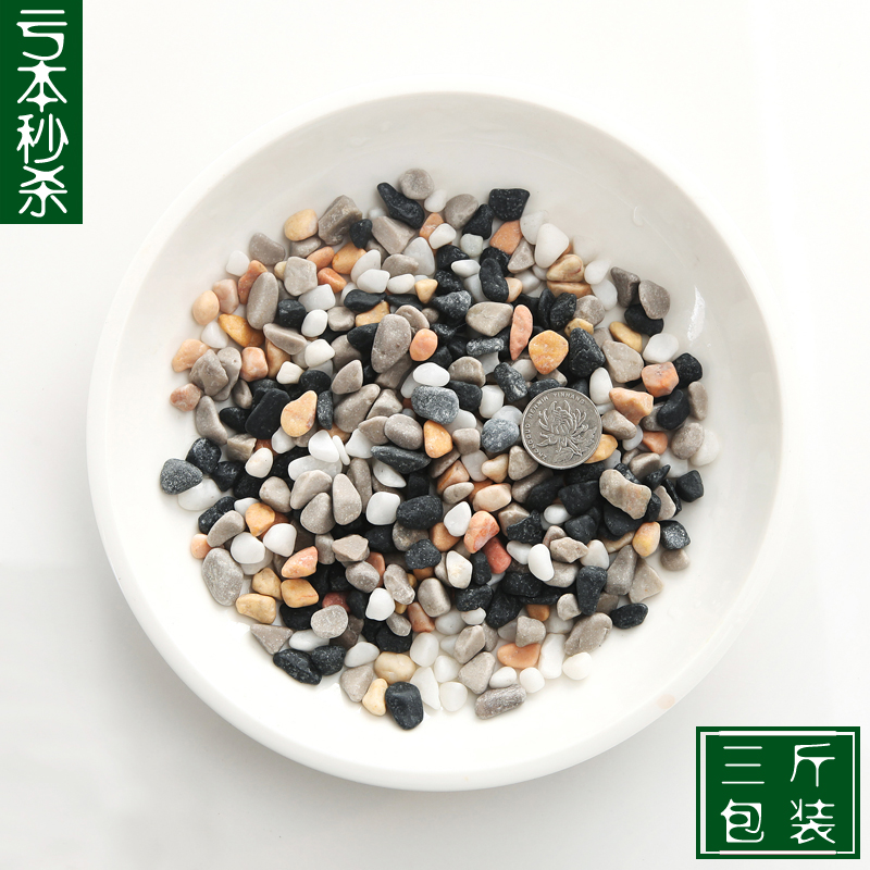 大小雨花石鵝卵石彩色石頭魚缸鵝軟石五彩石盆栽白石子陶粒彩石在類目 鮮花速遞/花卉仿真/綠植園藝, 園藝用品, 其它園藝用品中 - 來自Buy2taobao.com提供專業的淘寶代購服務