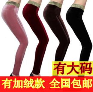  新款金丝绒打底裤裙裤显瘦秋冬打底裤女裤子女加大码正品包邮